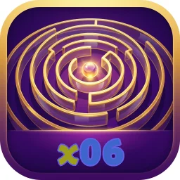 x06